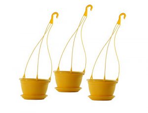 مرکز پخش گلدان پلاستیکی