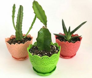 انواع گلدان پلاستیکی جدید